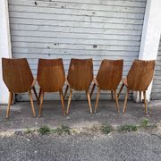 (Lot) 5 vintage wooden chairs attributed to Baumann (to be restored)