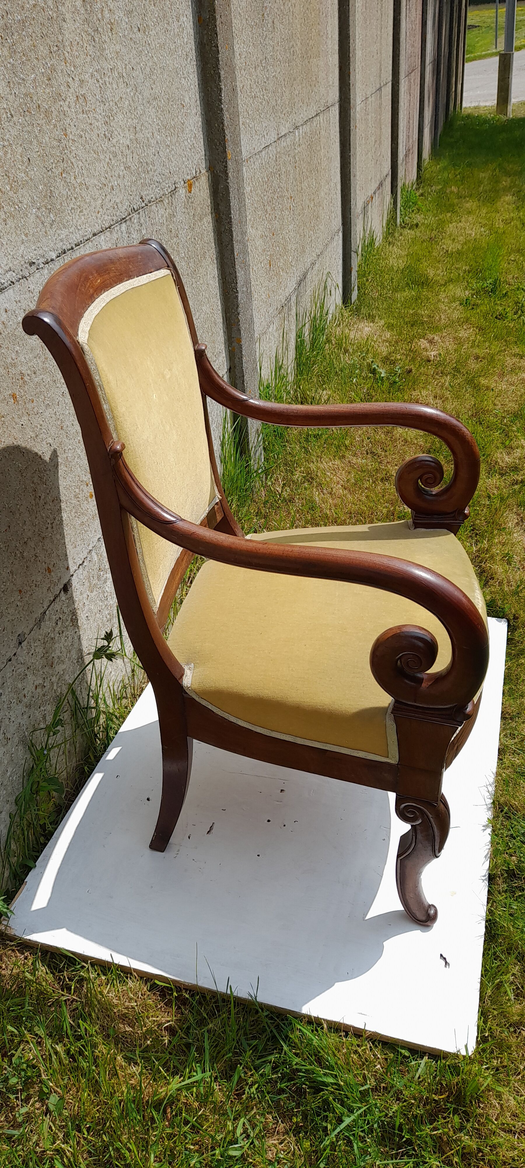 Mahogany butt armchair and mahogany veneer XIX th