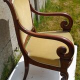 Mahogany butt armchair and mahogany veneer XIX th