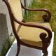 Mahogany butt armchair and mahogany veneer XIX th