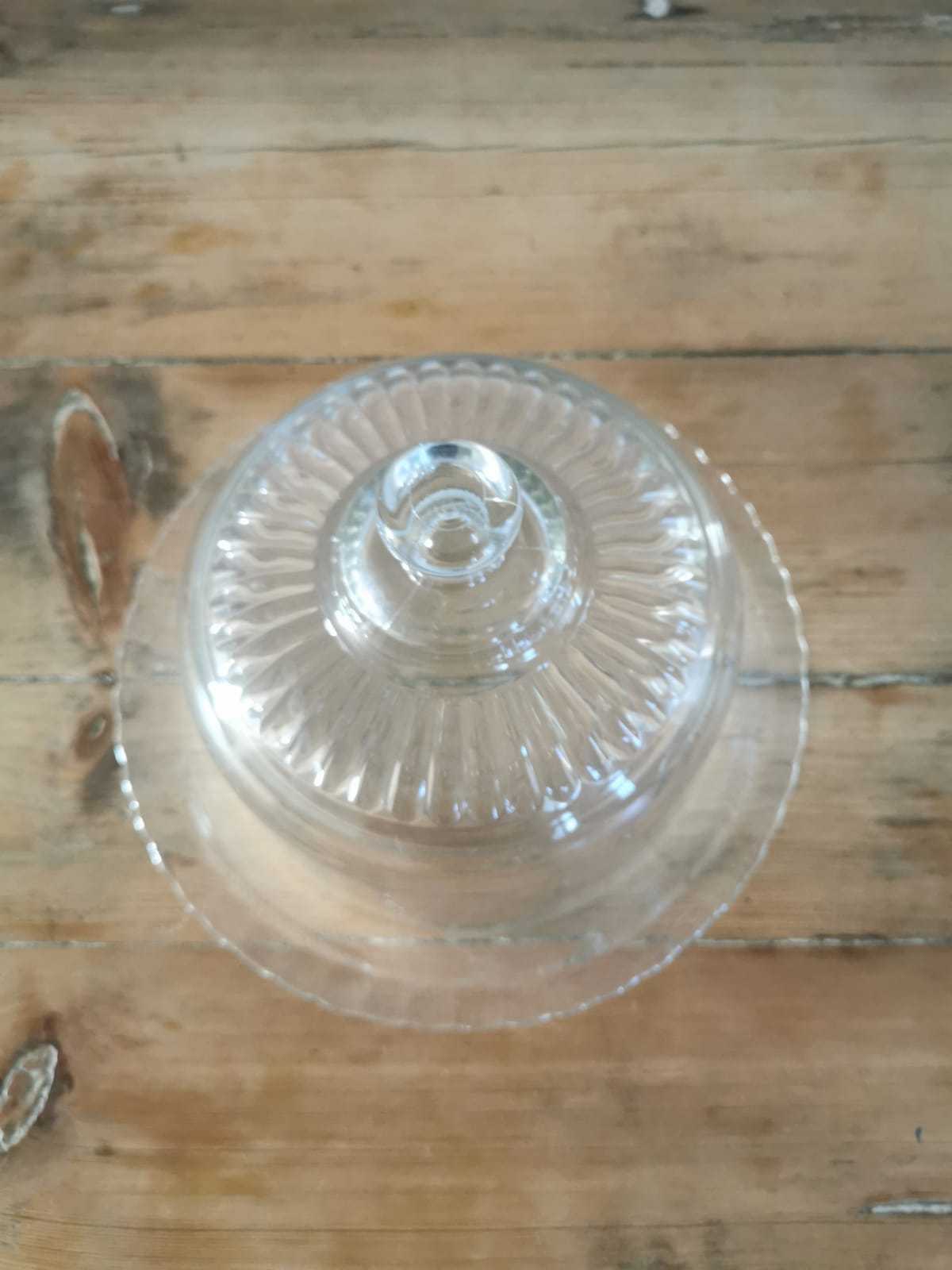 Glass arcopal cake dish with bell