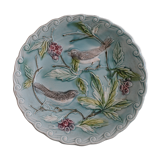 Colorful plate birds