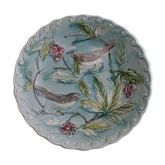 Assiette colorée oiseaux