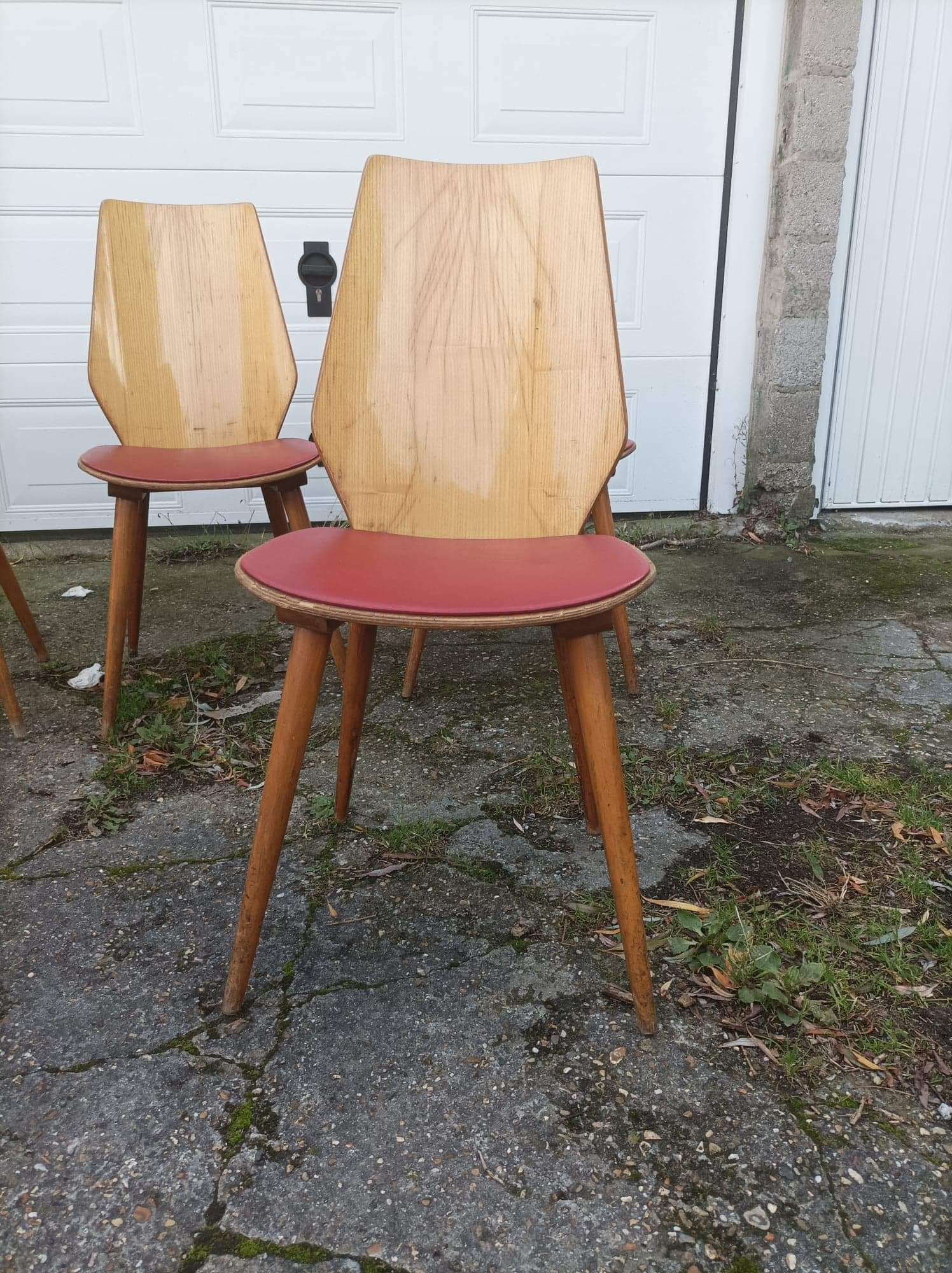 6 vintage Baumann chairs by Max Bill 50s