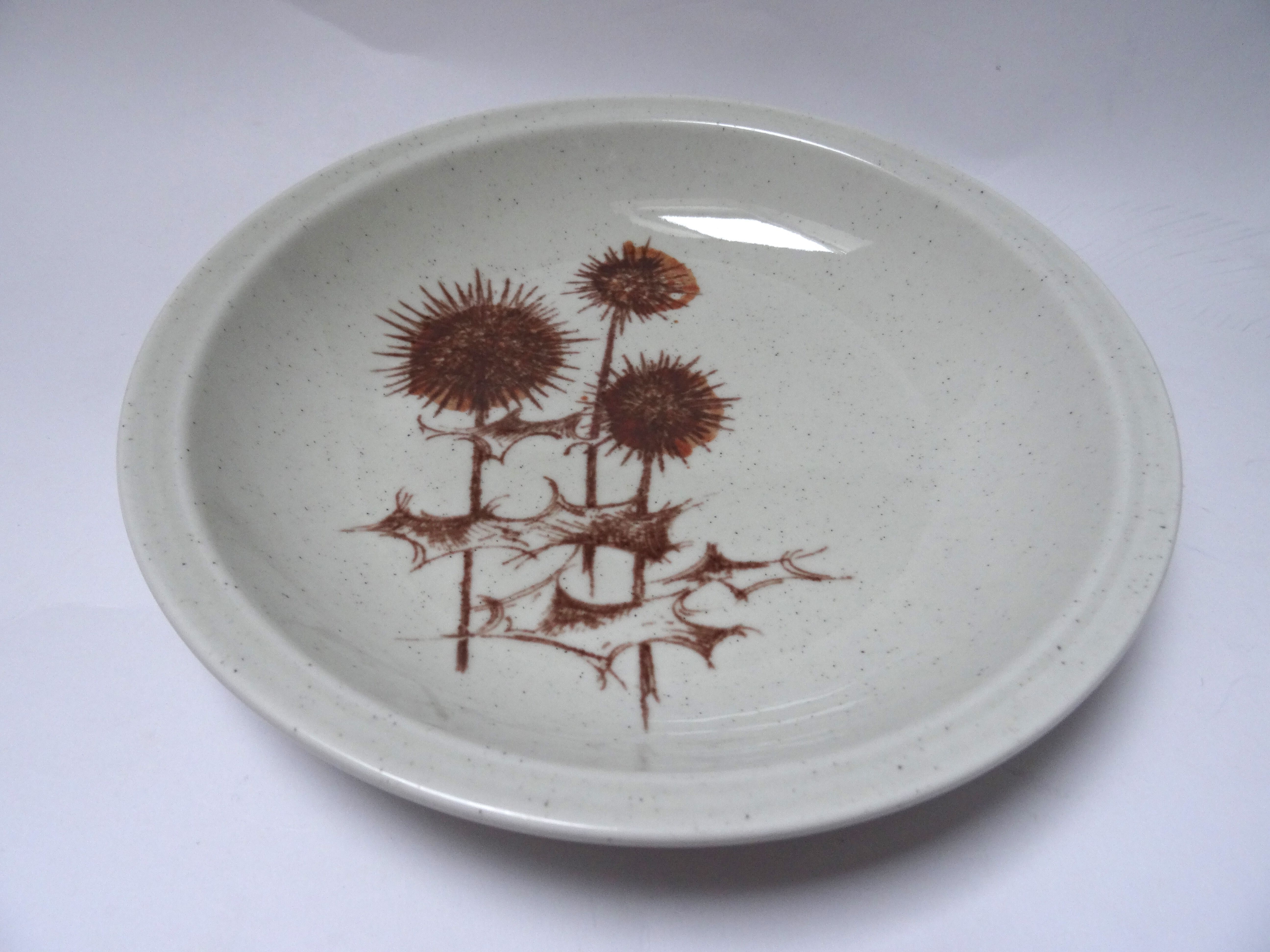 Hollow plates Sarreguemines