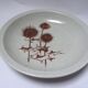 Assiettes creuses Sarreguemines