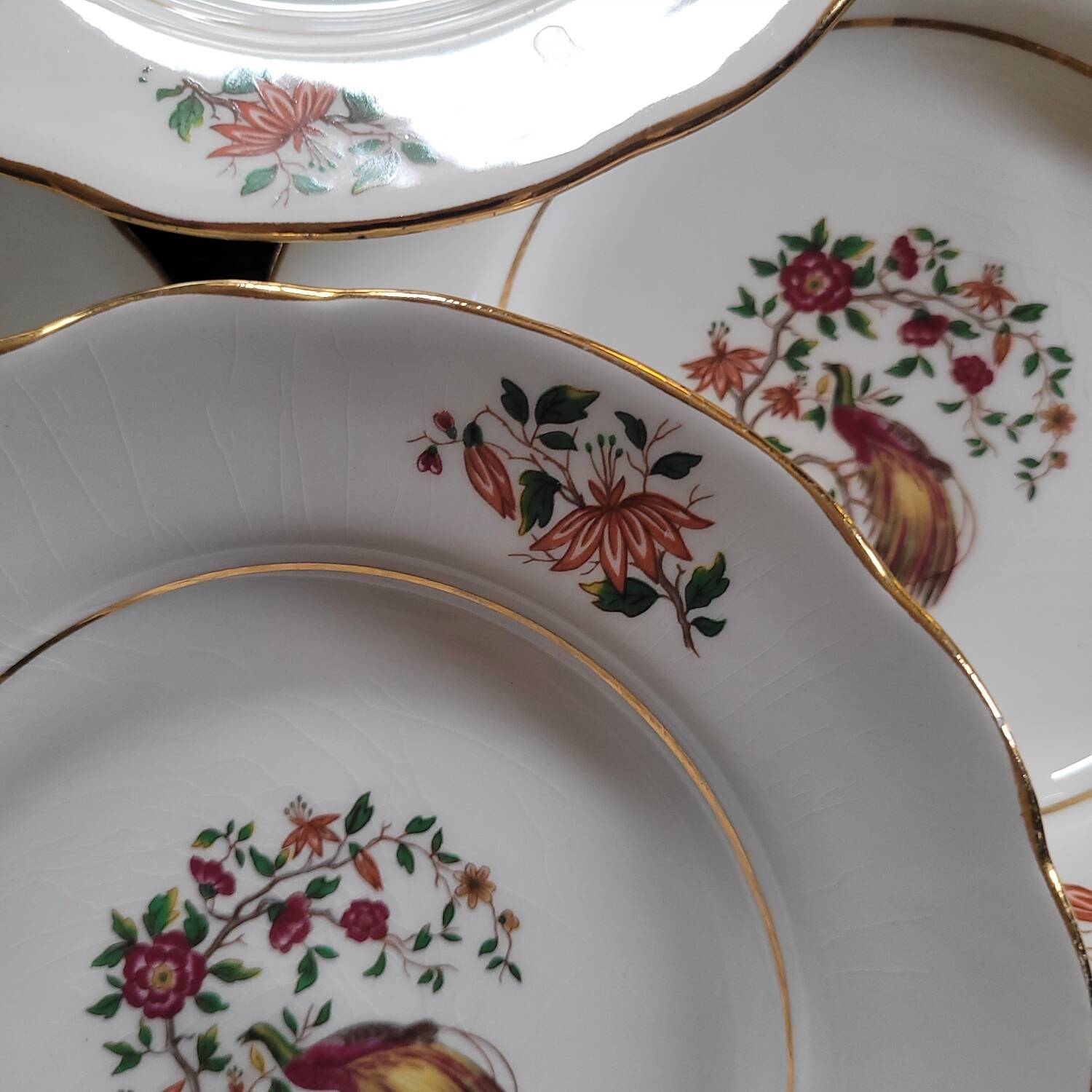 Porcelain dessert plates with bird decoration – Gressey 50s