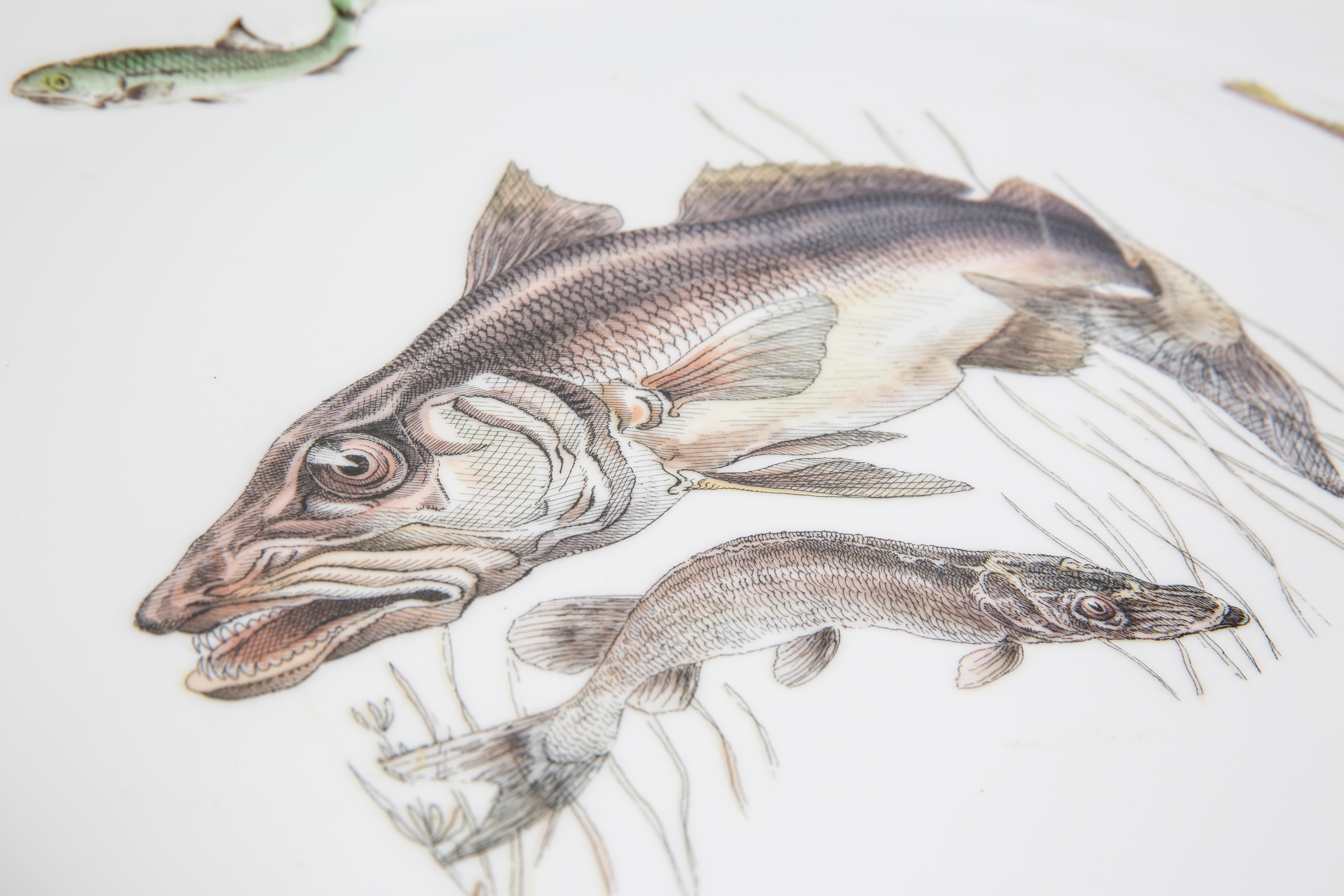 Decorative plate vintage fish mid-century, Bavaria, Germany, 1970s