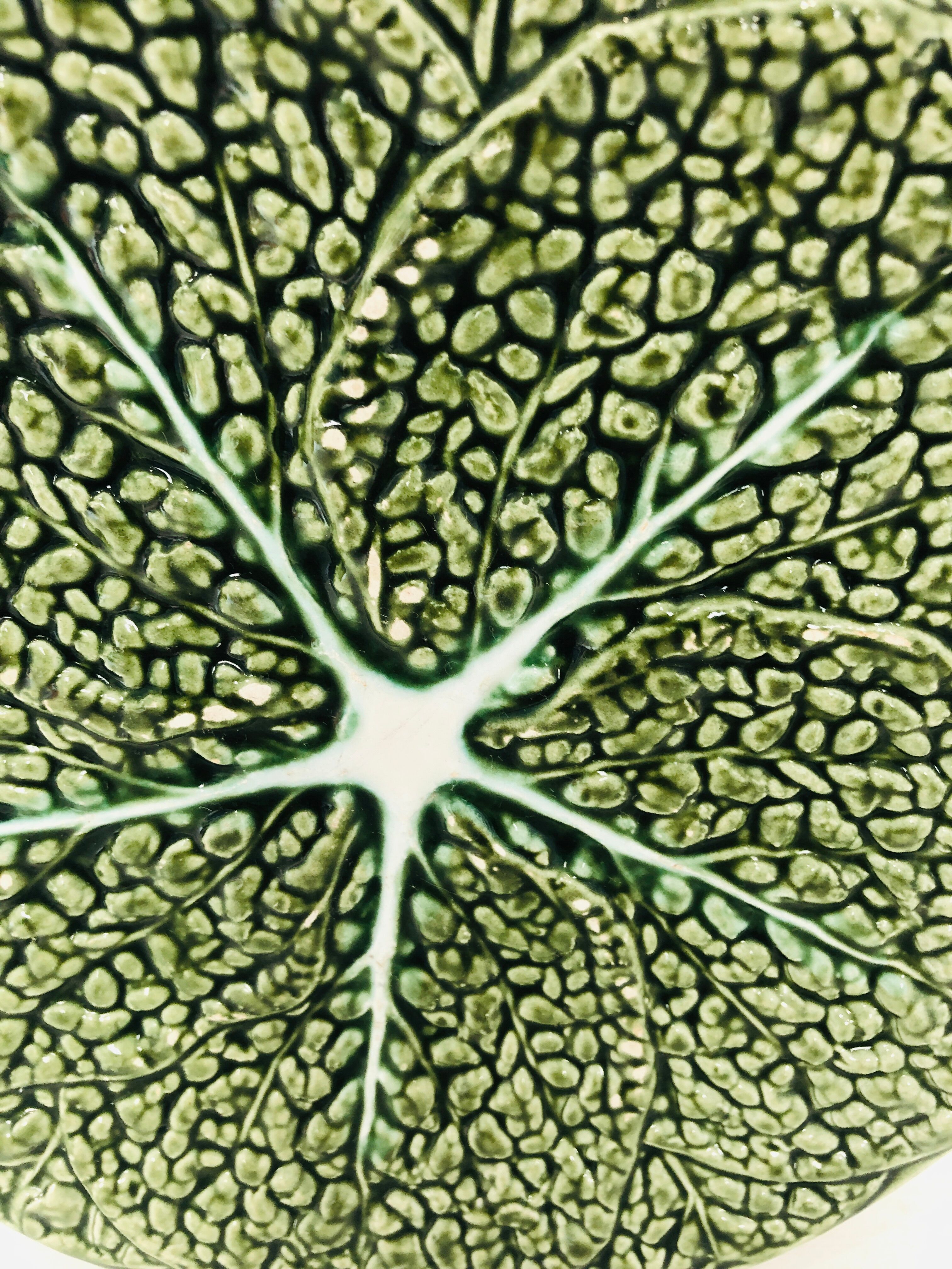 POP UP SEPT 2022 - wall plate slurry cabbage