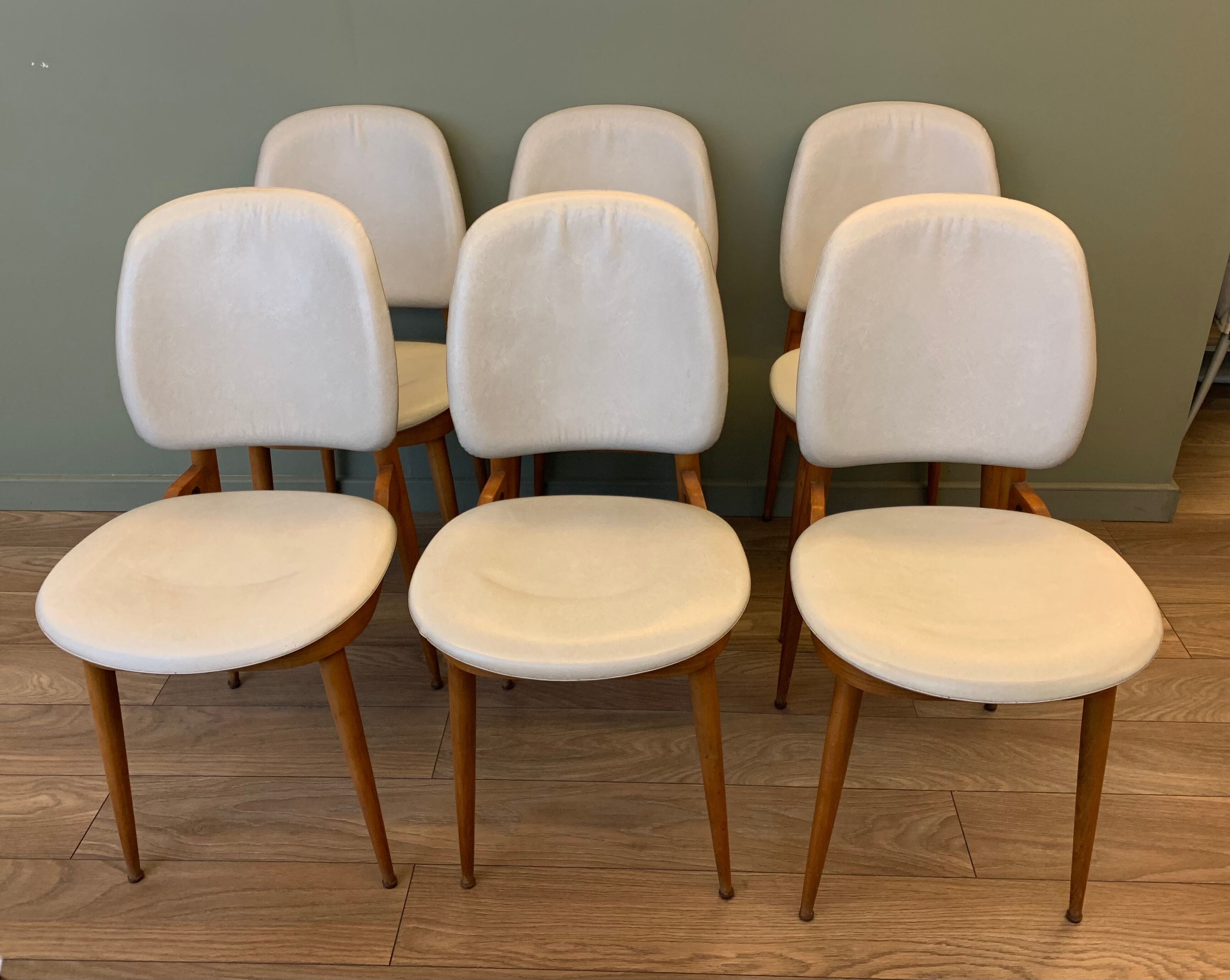 6 Pegasus chairs - Baumann