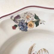 Assiettes creuses Agrest Sarreguemines