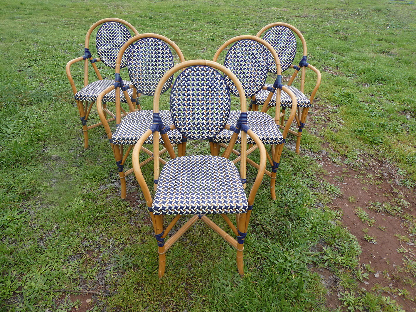 Lot de 5 fauteuils bistrot de terrasse type "parisienne" blanc et bleu