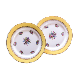 Duo d'assiettes plates Digoin Sarreguemines Graziella