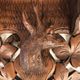 Pair of carved wooden wall consoles decorated with a deer's head