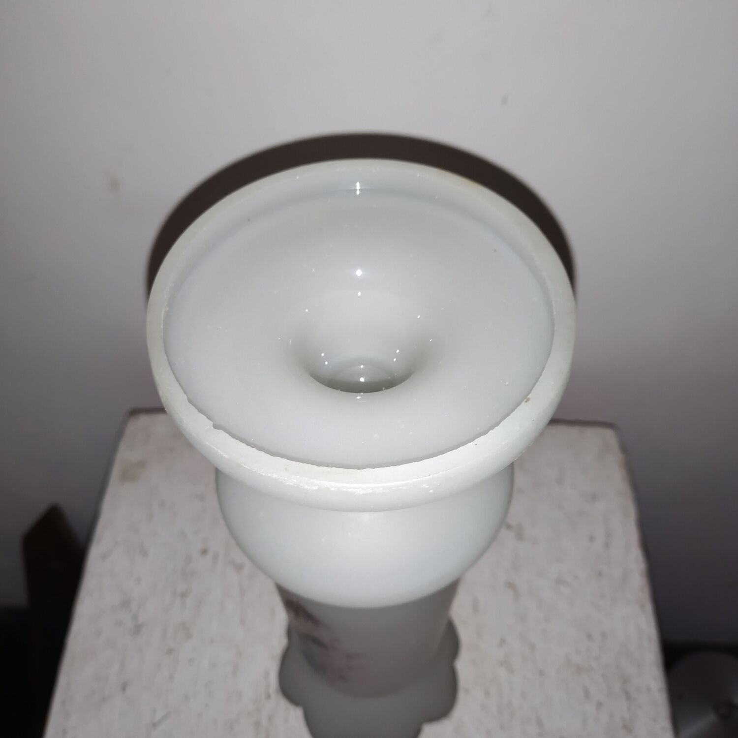 Enamelled opaline glass vase