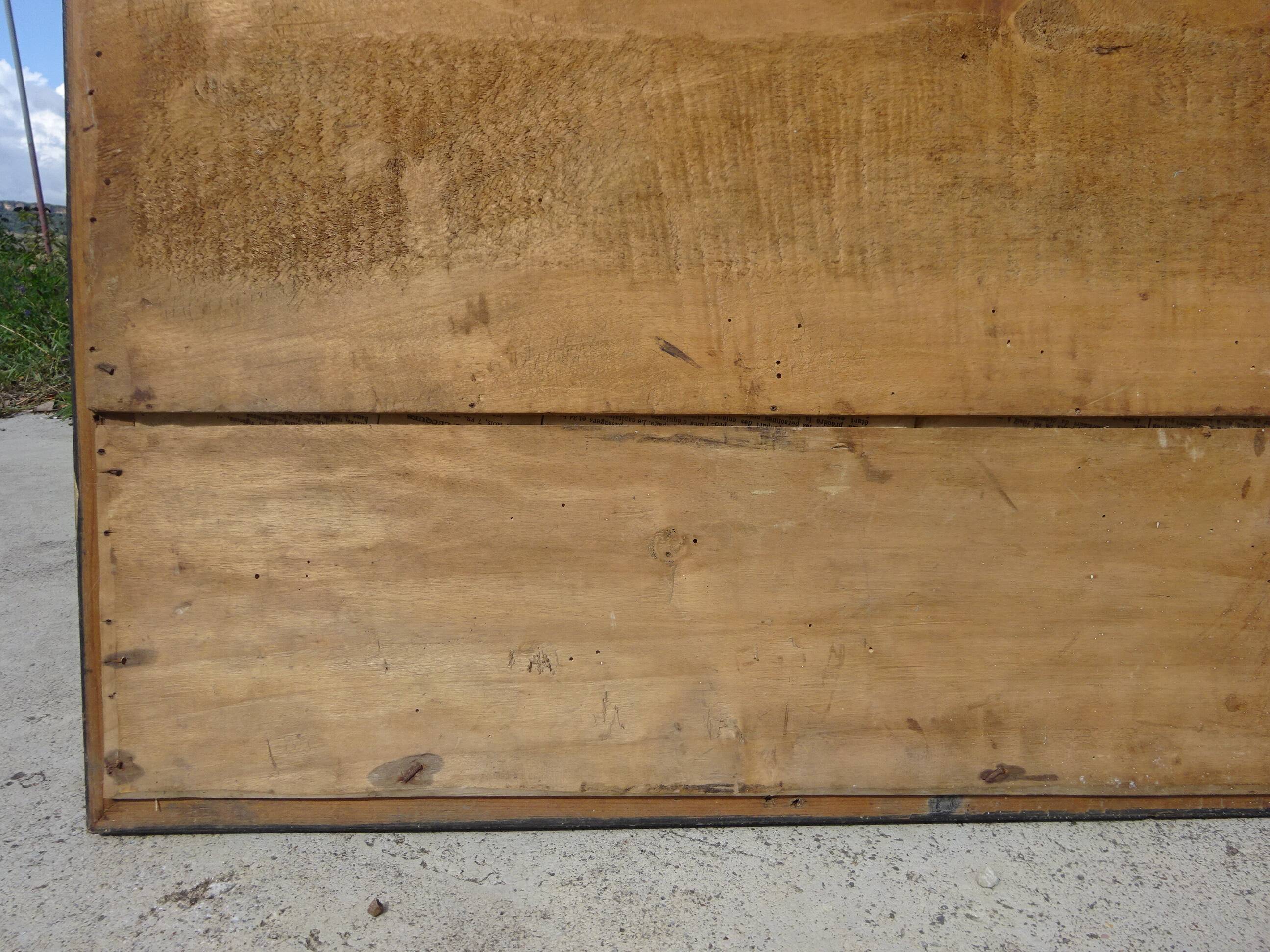 Mirror with black and gold frame, embossed vine leaves