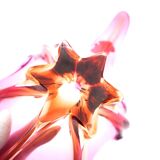 "Starfish" bowl by Murano – Fuchsia Pink & Amber – Circa 1960