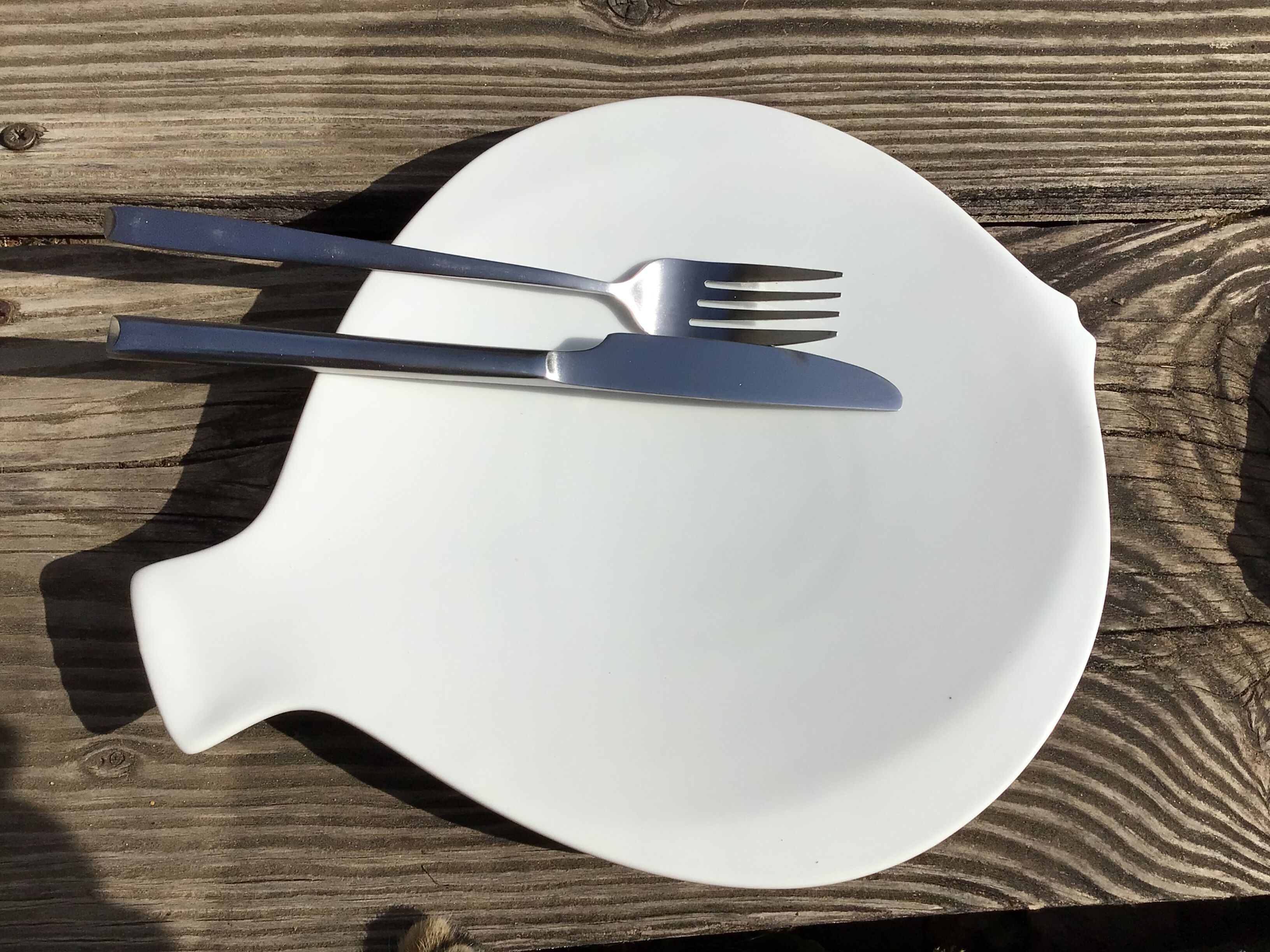 3 assiettes plates porcelaine poisson