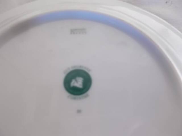 Round hollow dish Limoges Guy Degrenne corynthe model