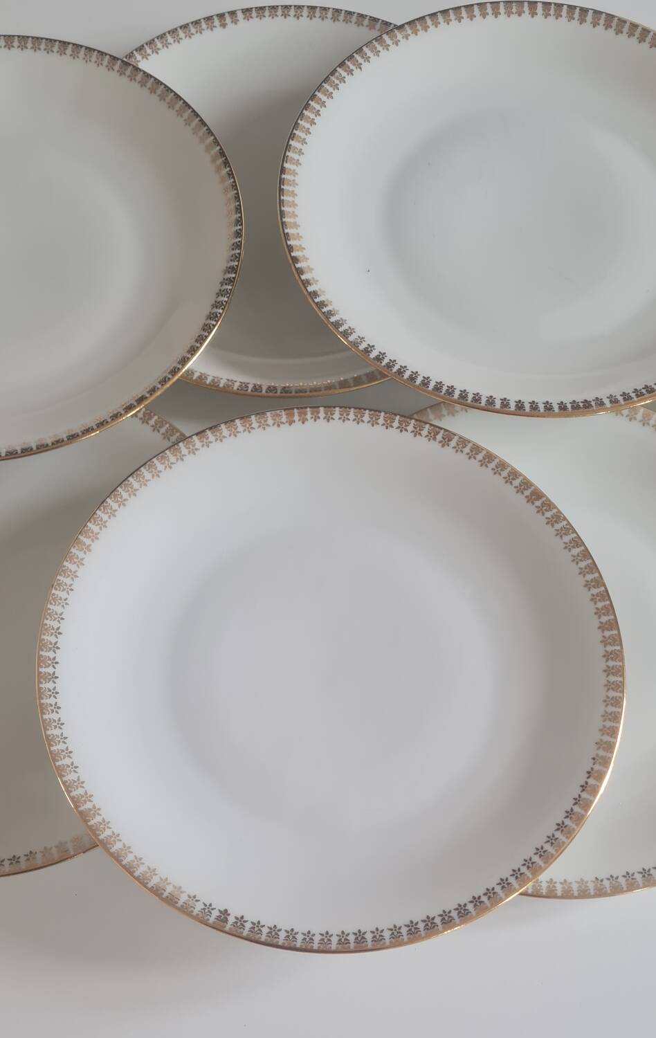 Set of 8 Limoges porcelain plates