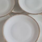 Set of 8 Limoges porcelain plates