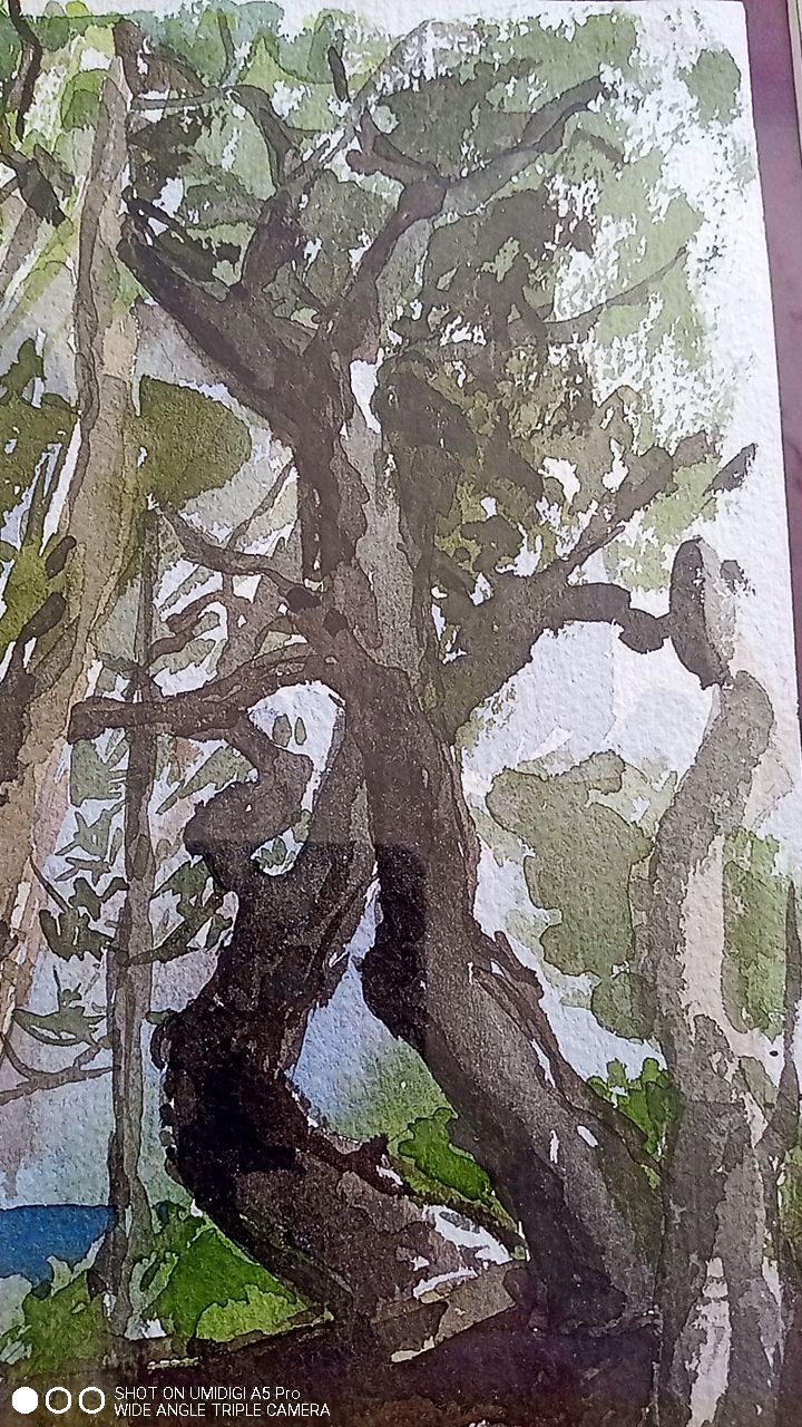 Pascale Rigat-Esselin (born 1952) - Watercolor - 35,5 x 26 cm - undergrowth, signed