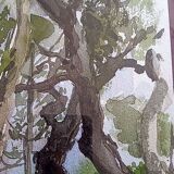Pascale Rigat-Esselin (born 1952) - Watercolor - 35,5 x 26 cm - undergrowth, signed