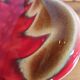 Fruit bowl or Wall light – Vintage Ceramic 1960s/70s