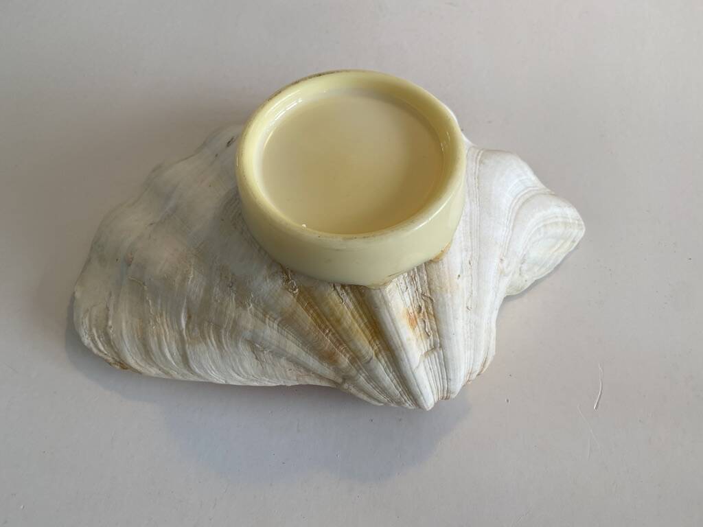 Large holy water clam shell on base - 34x25x11 cm - natural - 2600g