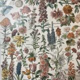 Lithograph on flowers from 1922