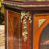 Louis XVI - Napoleon III Style Butterfly Library
