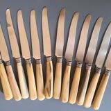 12 horn handle knives