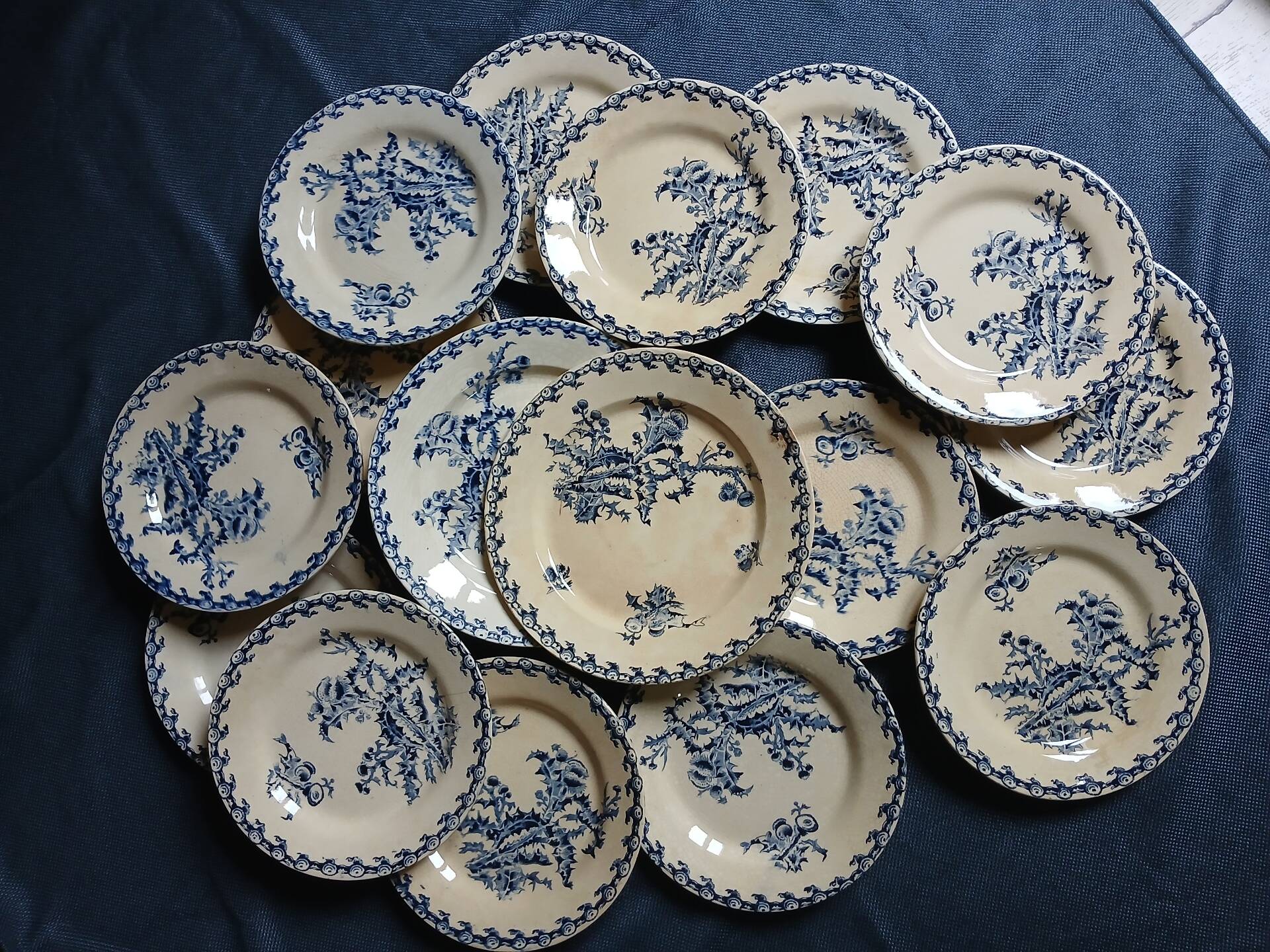 14 dinner plates + 2 "Chardons" dishes from Gien