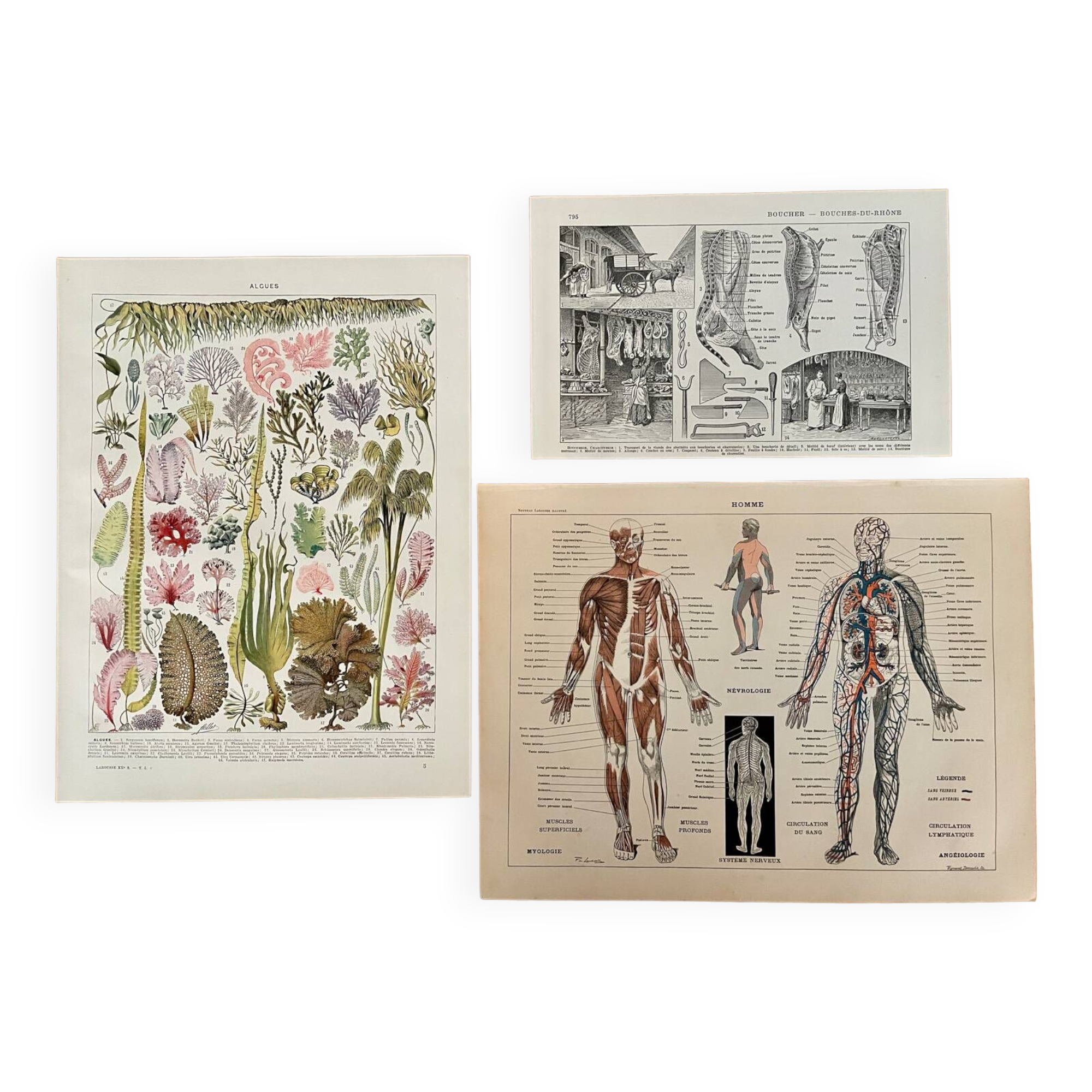 Lot of 3 20th century lithos