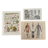 Lot of 3 20th century lithos