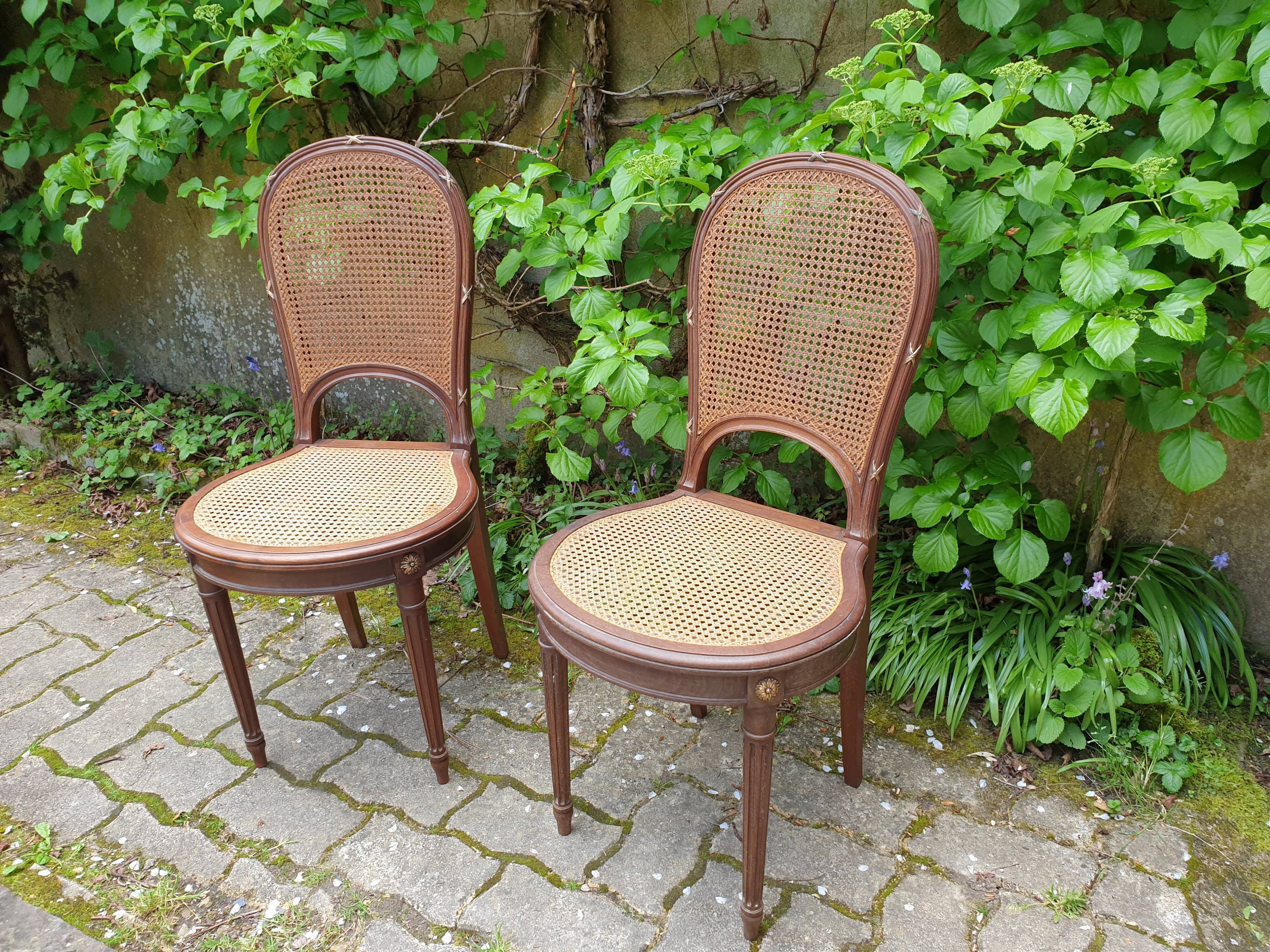 Louis XVI canning chairs