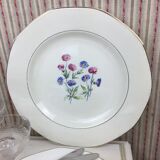 12 antique dessert plates made in France Digoin Sarreguemines