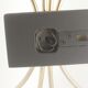 Wall lamp with brass rods and glass lampshade, 1960s