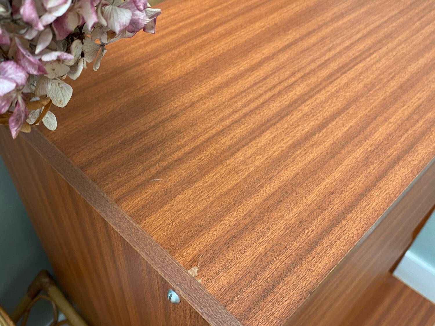 Teak veneer shoe cabinet, 1960s