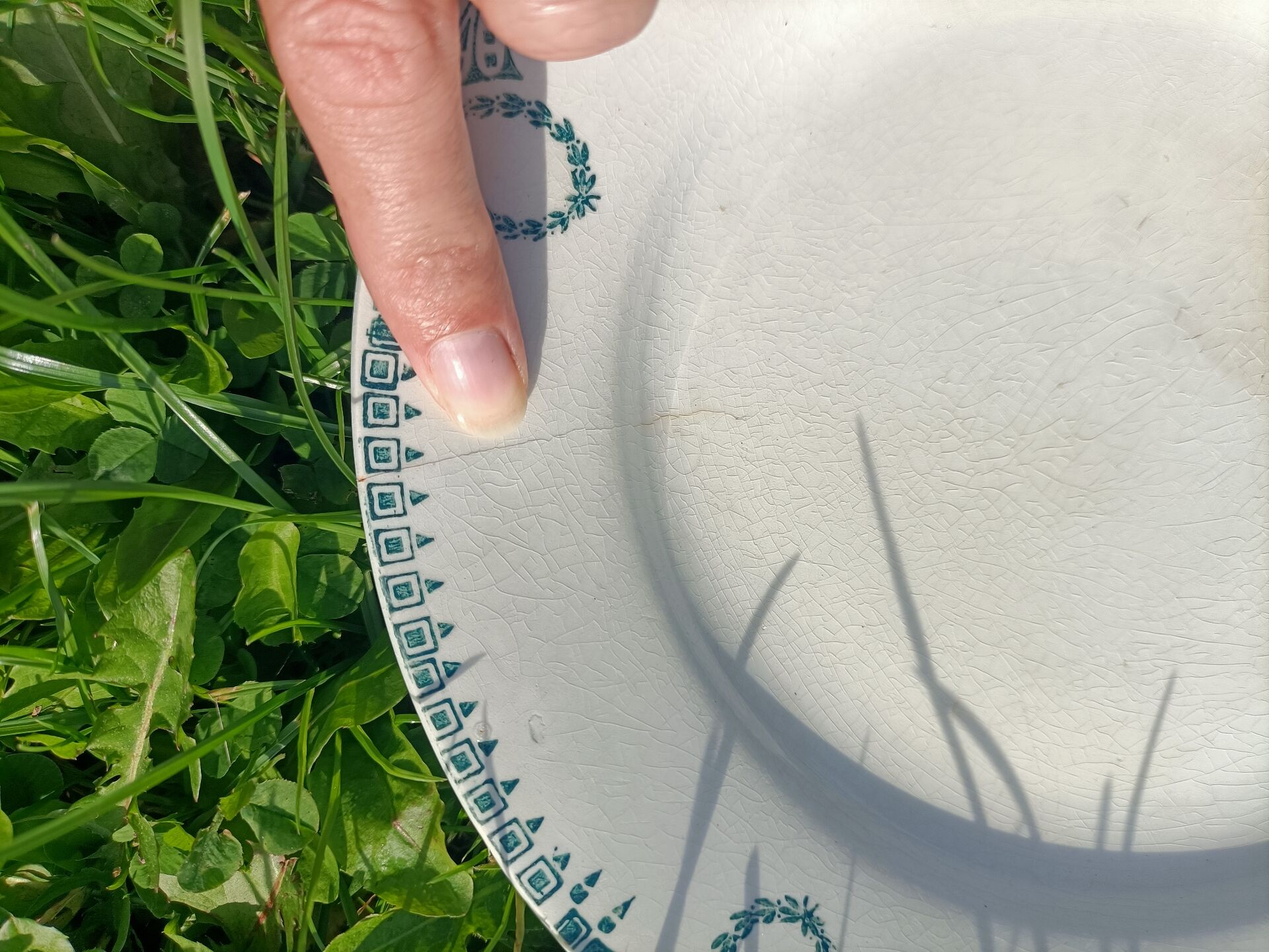 Set of stamped plates 🌻