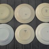 Set of 6 different flat plates