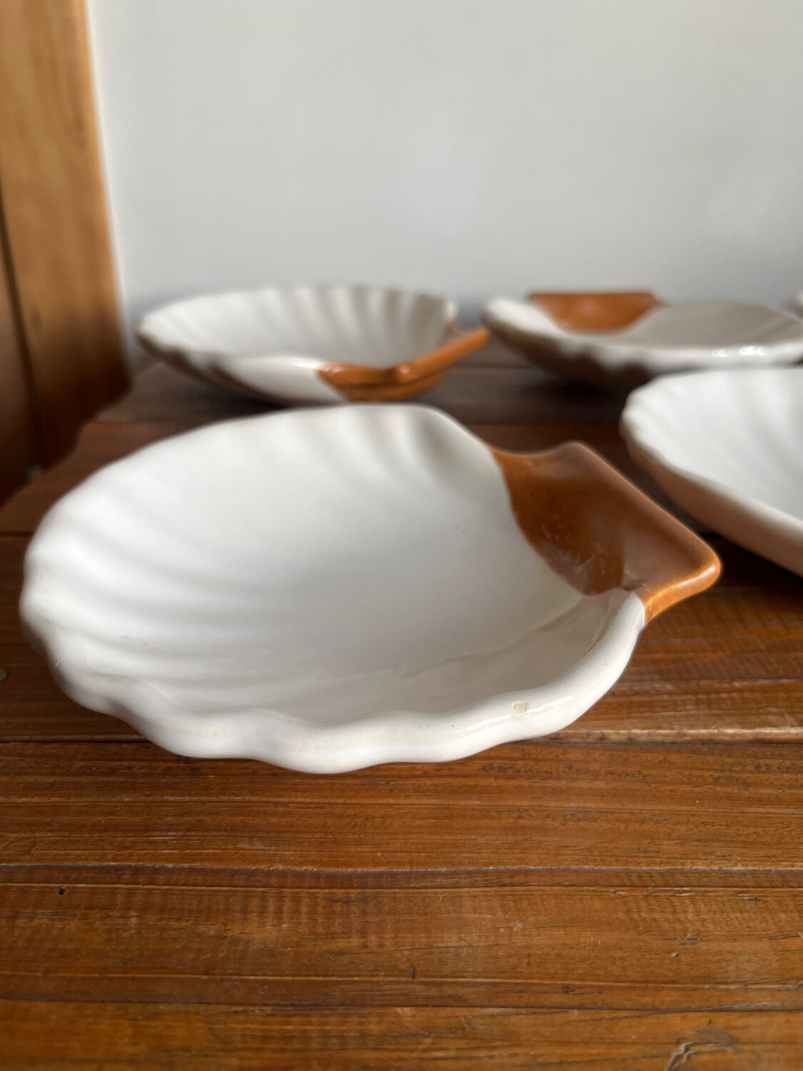 6 shell-shaped bowls