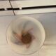 Opaline vase from Florence -Carlo Moretti - Italy - Vintage