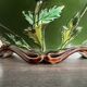 Large antique planter De Bruyne Frères 1900