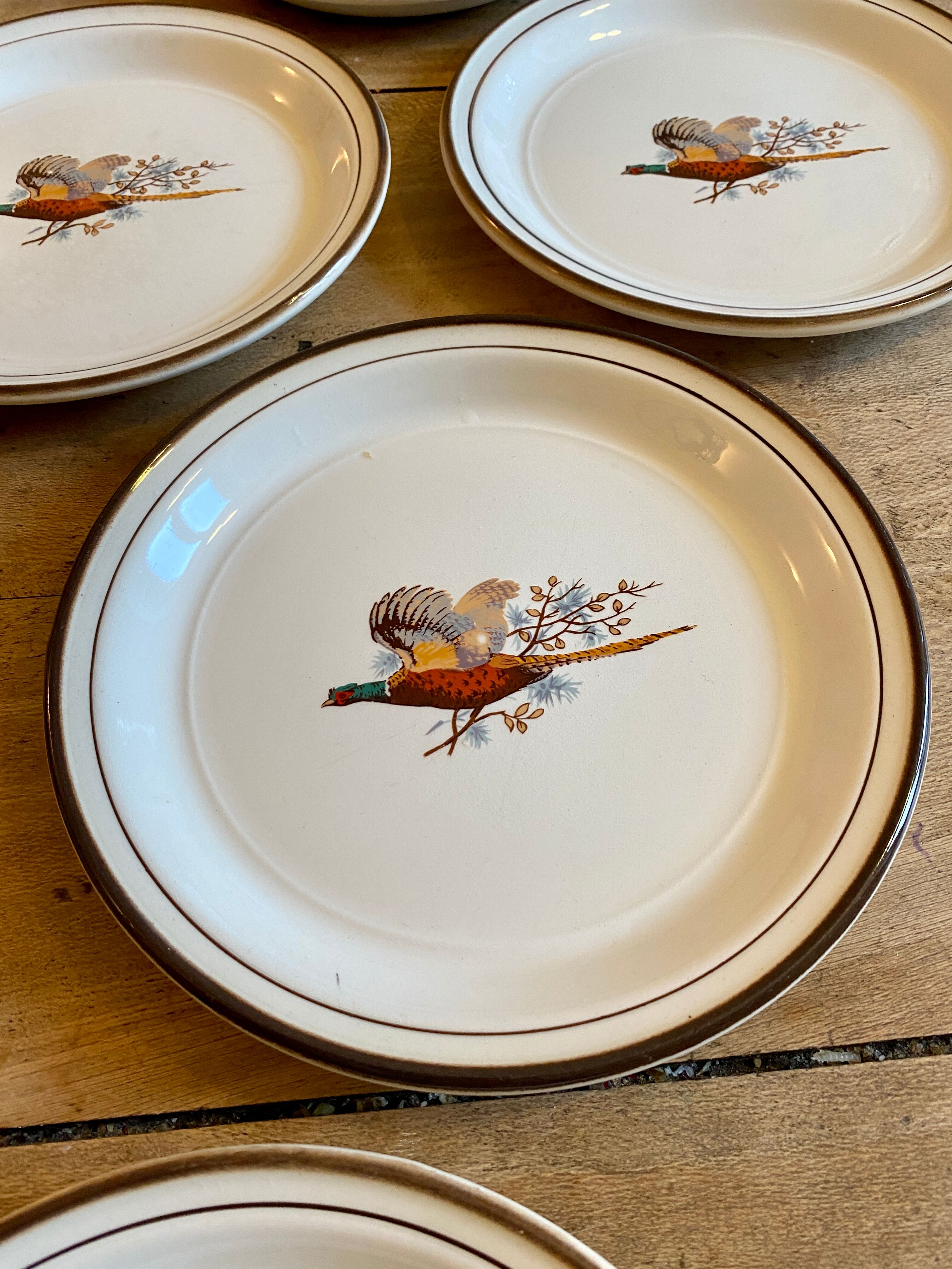 Set of 5 vintage plates