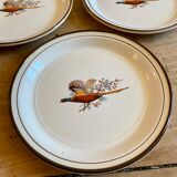 Set of 5 vintage plates