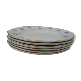 Lot of 6 flat plates