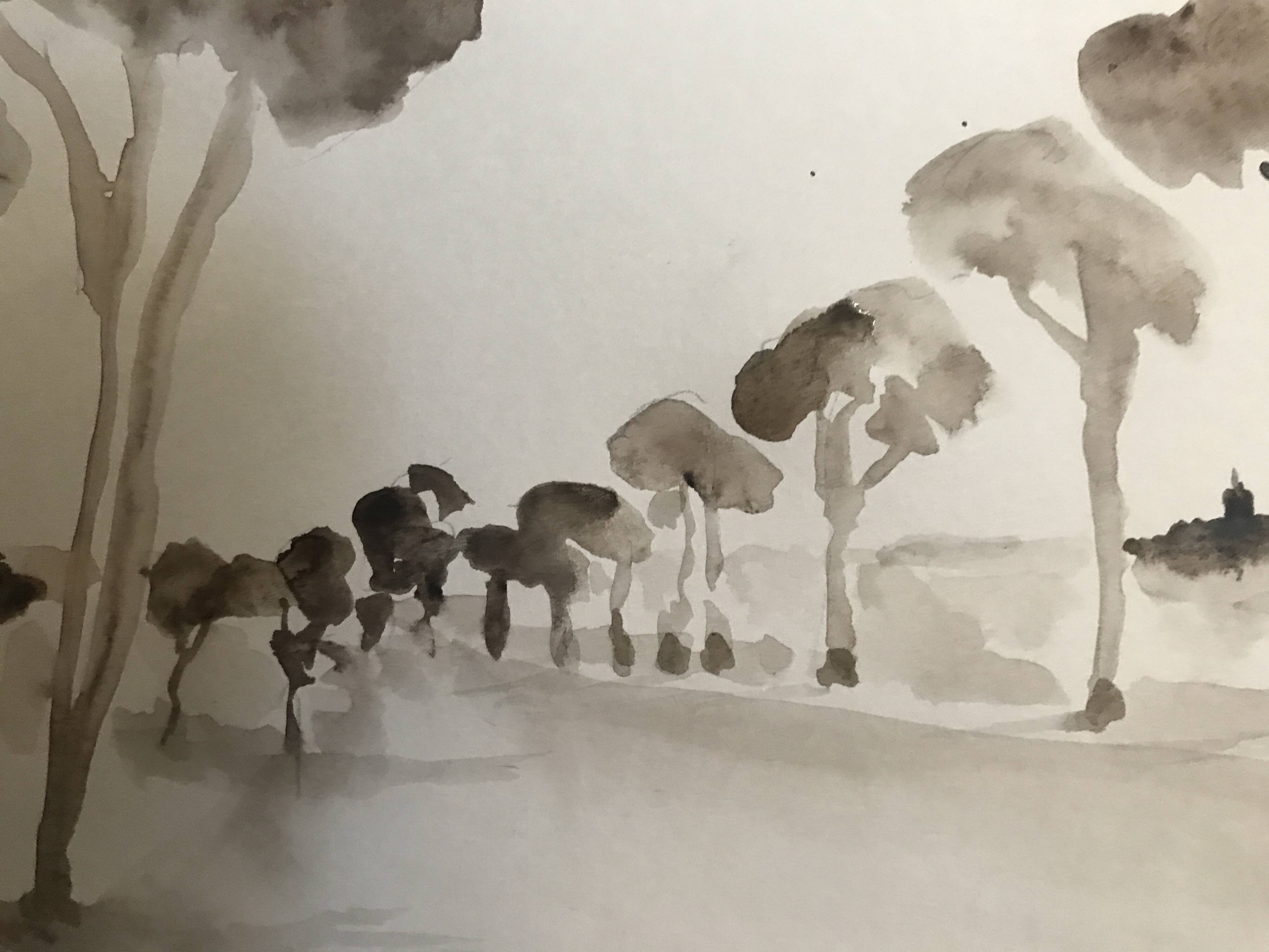 Painting signed monochrome watercolor “pine forest in Provence”