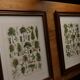 Original lithograph of acrobats