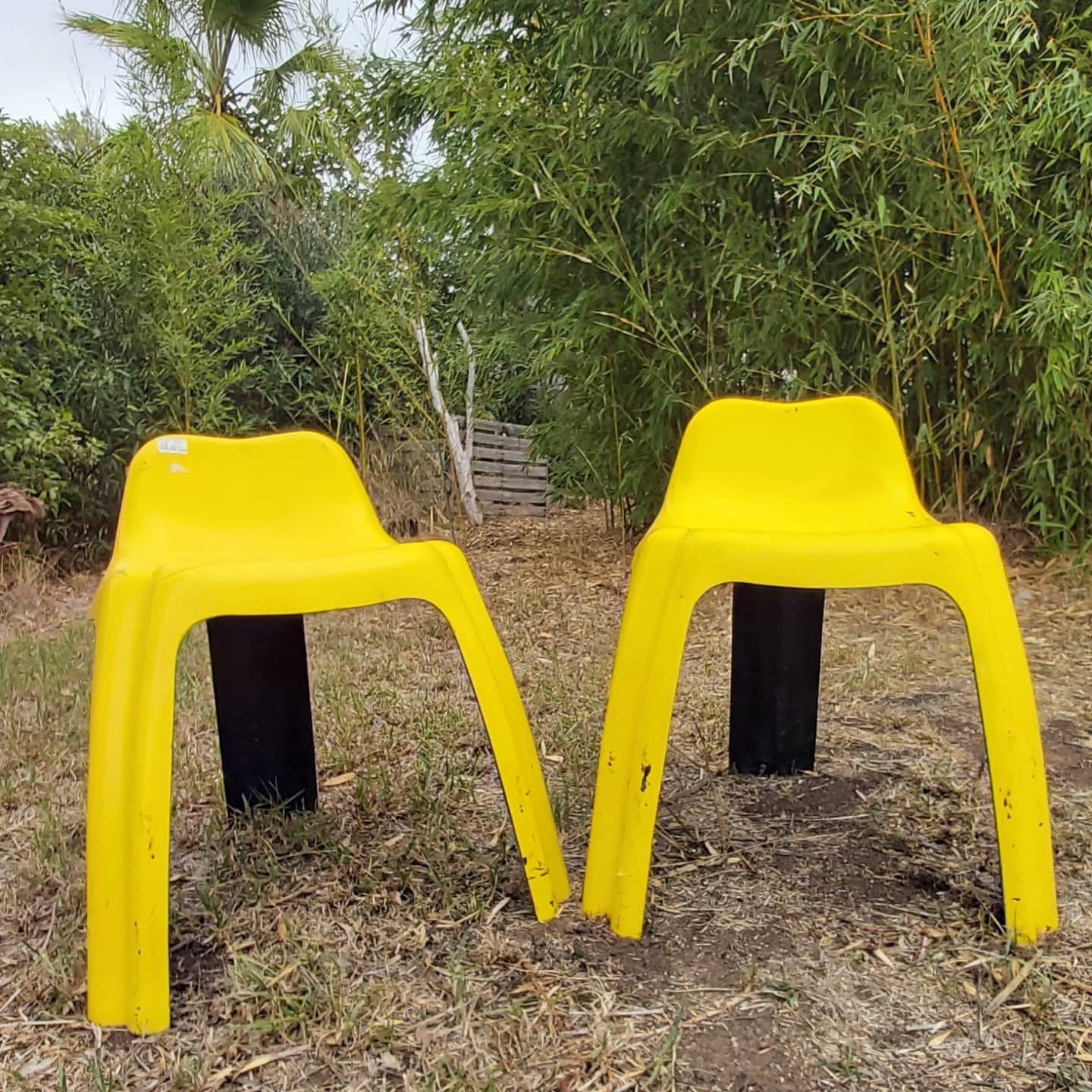 2 chairs ginger 1970